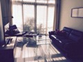 Thomson Vale (D11), Apartment #166884812